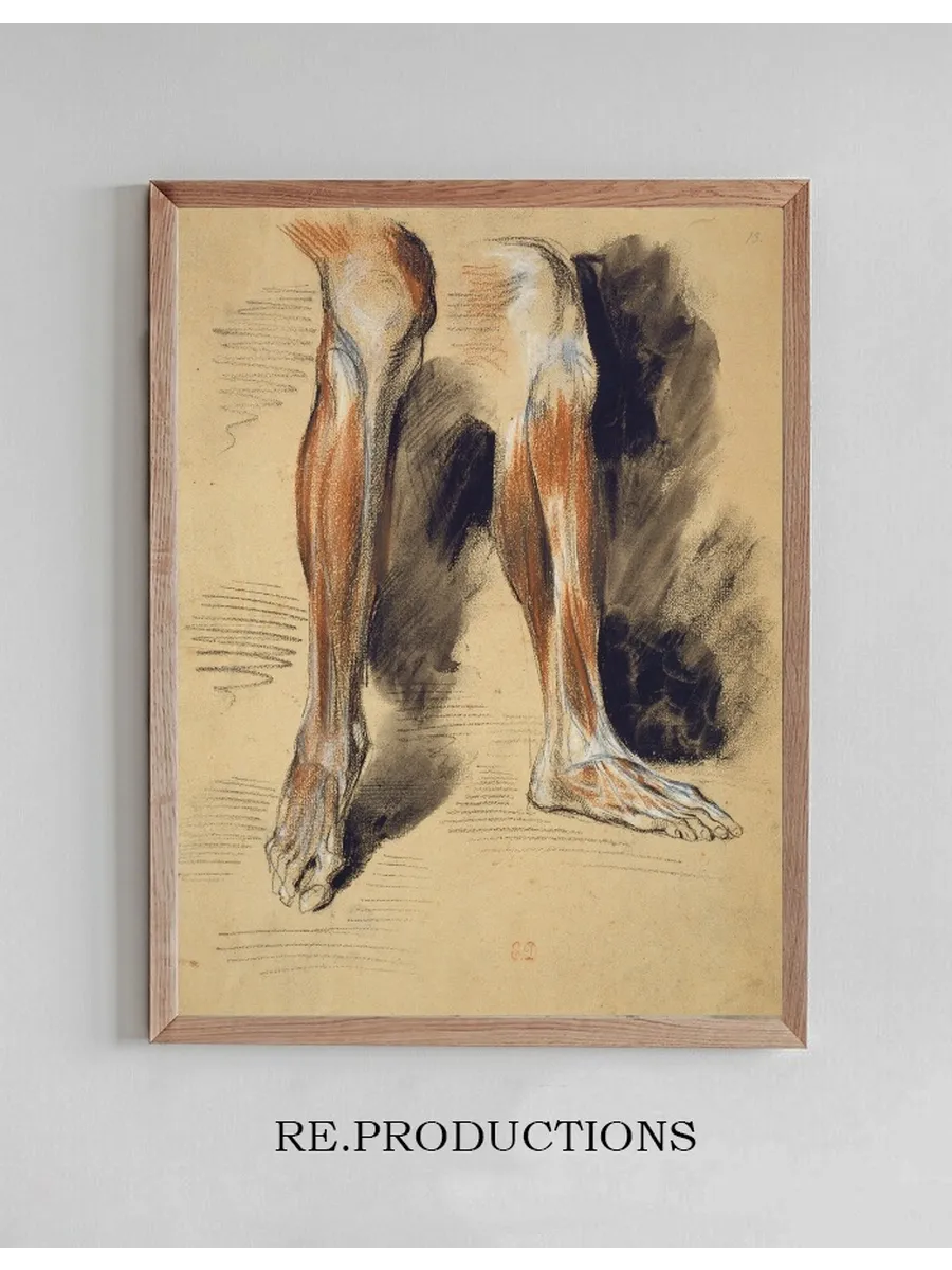 Studies of a Right Leg