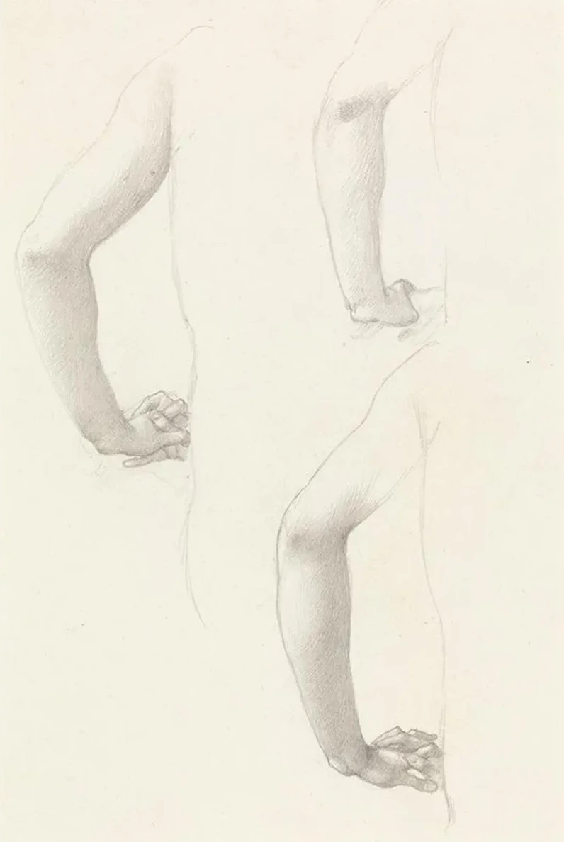 Studies of an Arm and Hands
