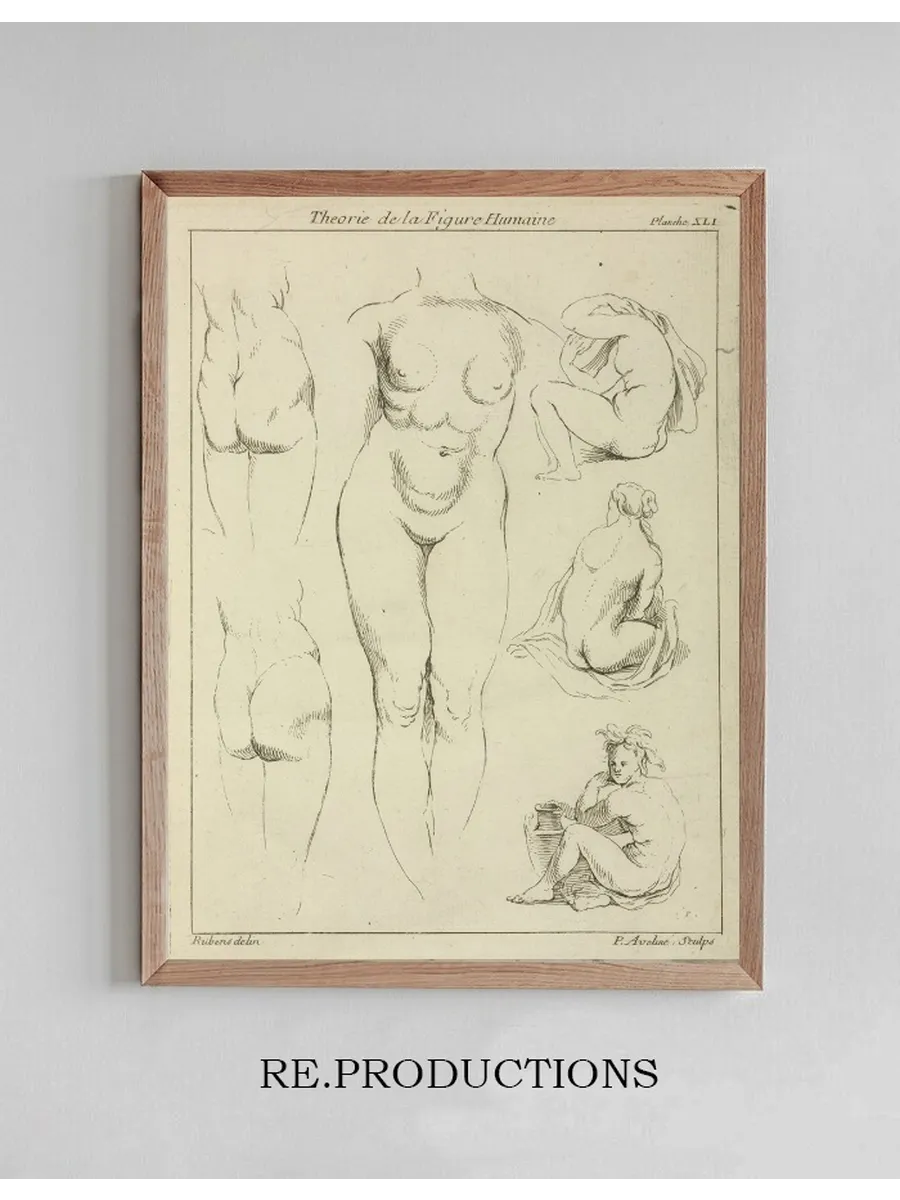 Studies of the Female Torso, Buttocks, and Seated Figures, Dorsal View