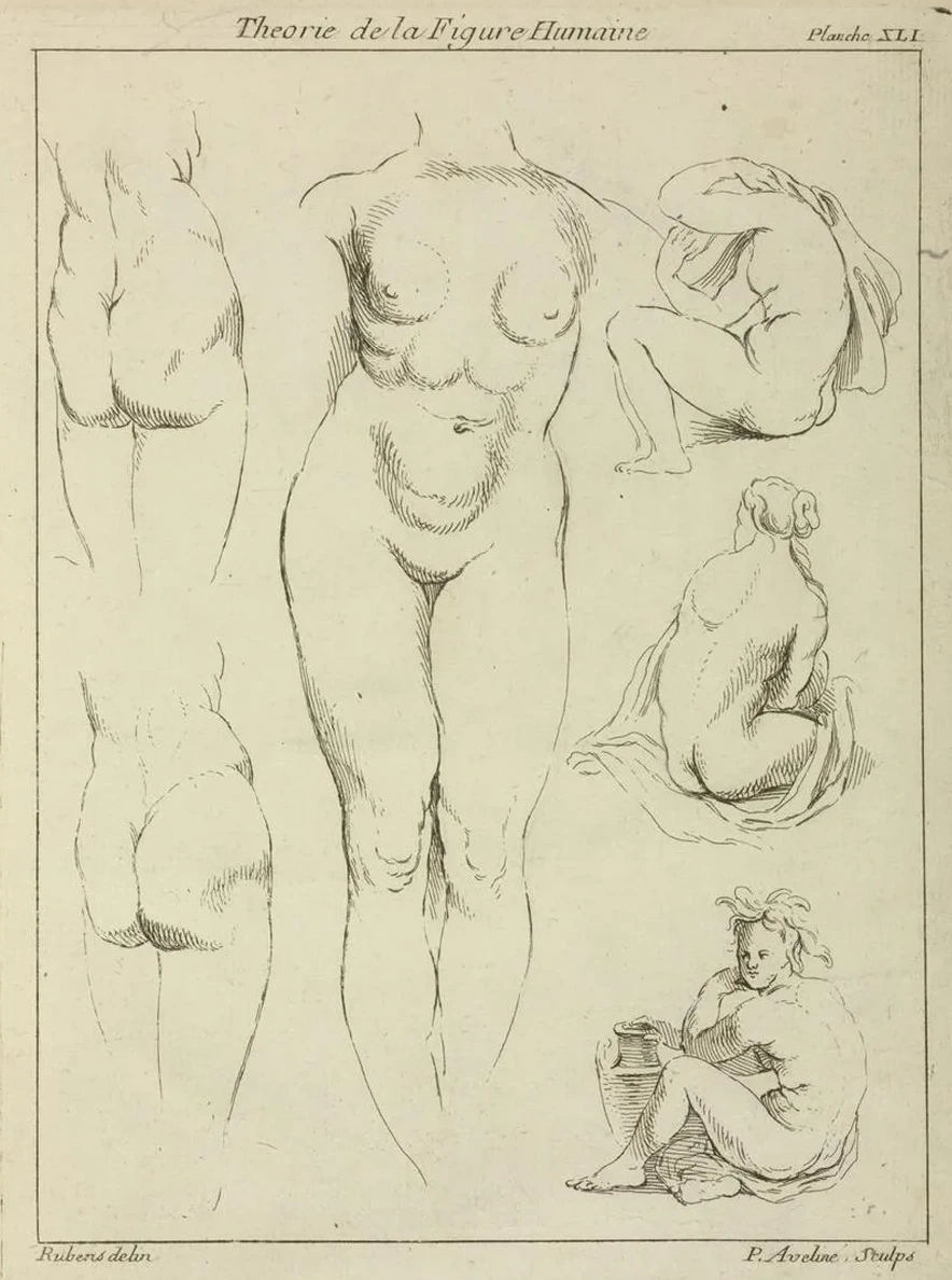 Studies of the Female Torso, Buttocks, and Seated Figures, Dorsal View