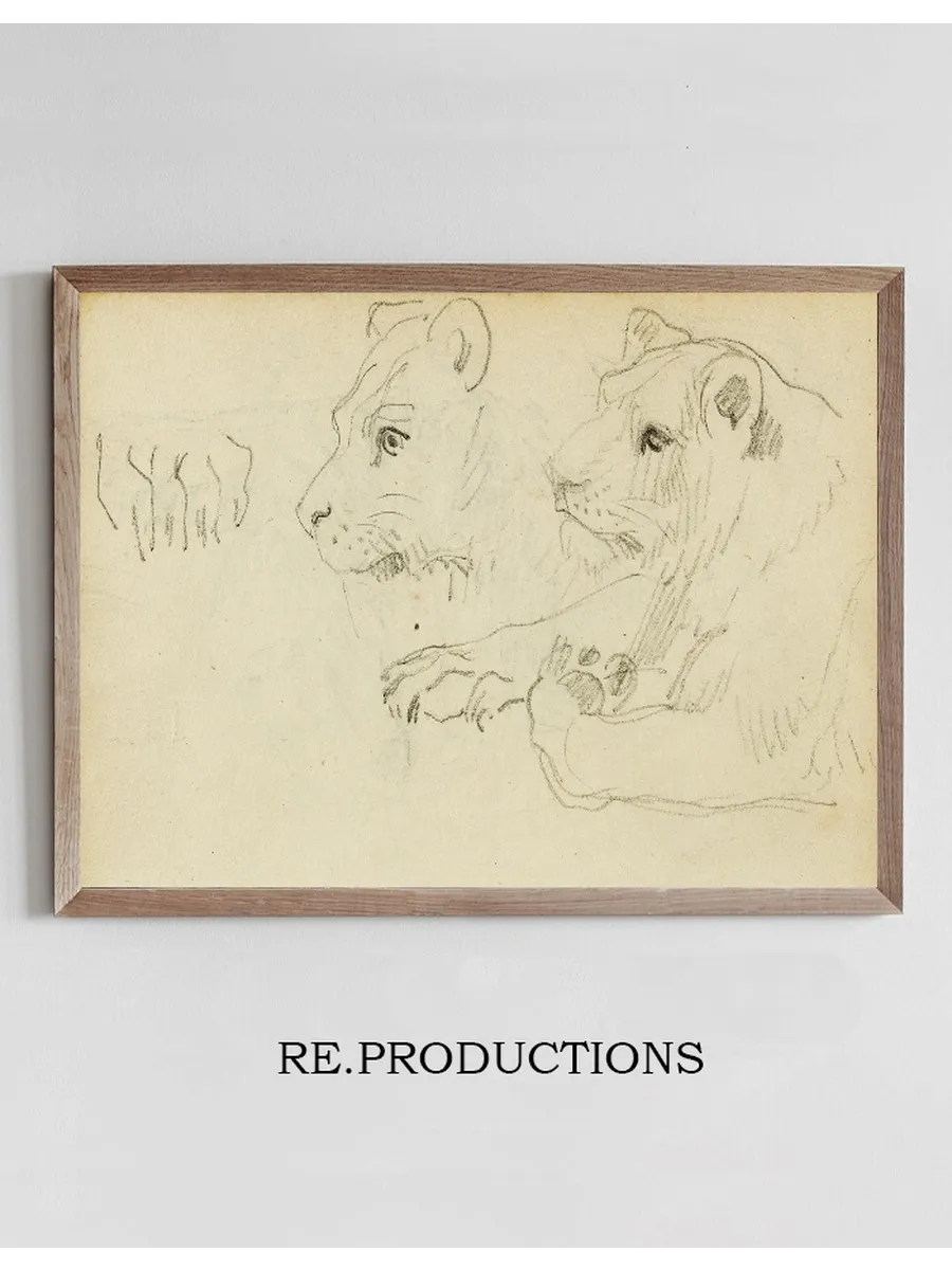 Studies of the Head and Forelegs of a Lioness