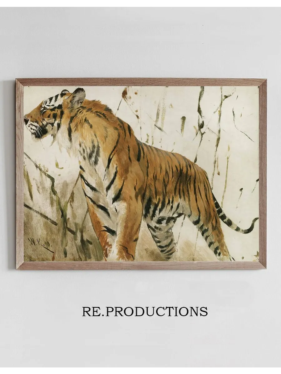 Study Of A Tiger
