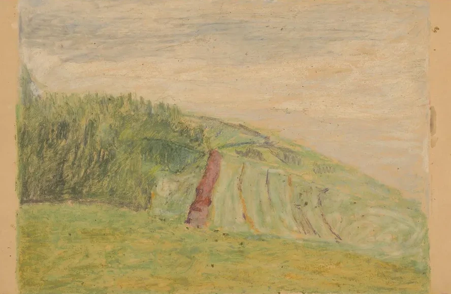Study Of Spi Landscape
