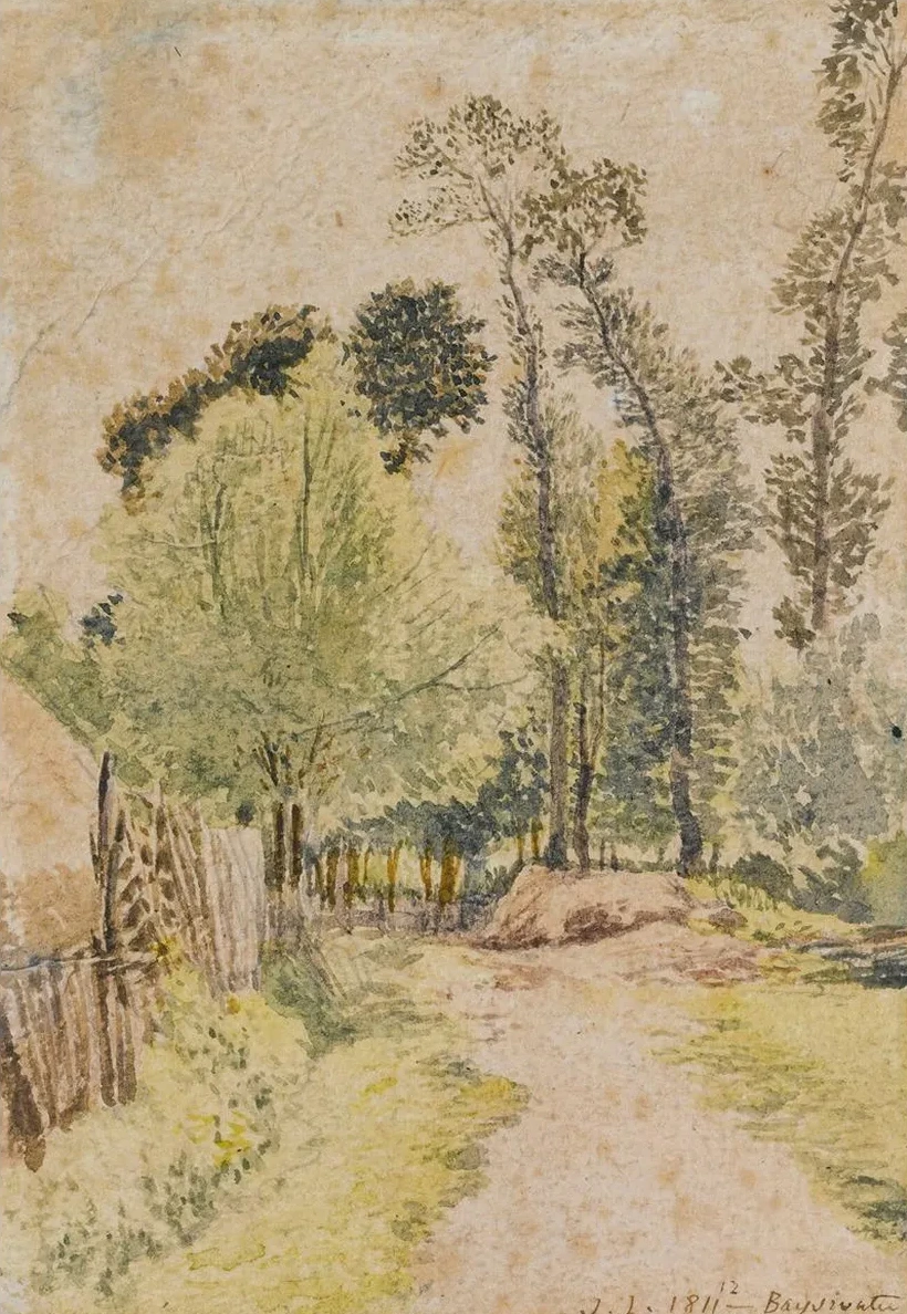 Study Of Trees At Bayswater, London