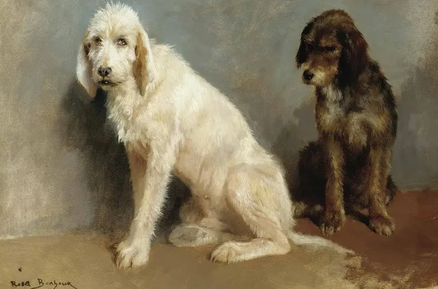 Study Of Two Dogs