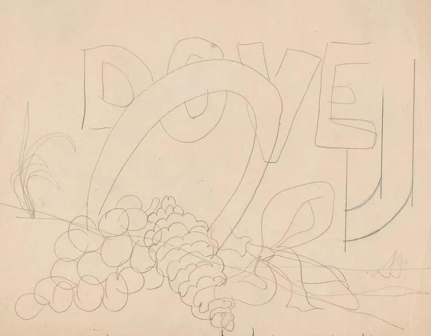 Study for Poster Portrait Dove