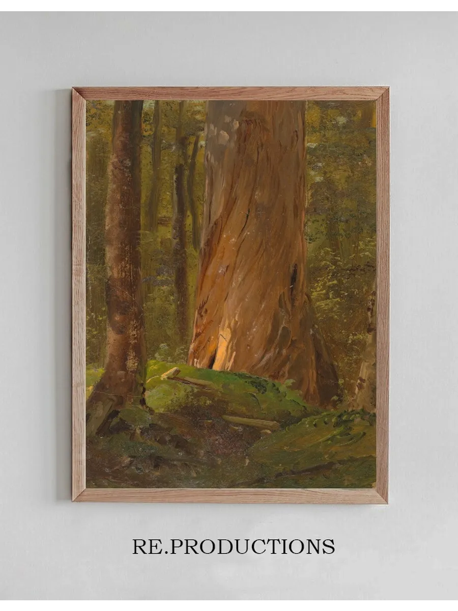 Study in the Maine Woods
