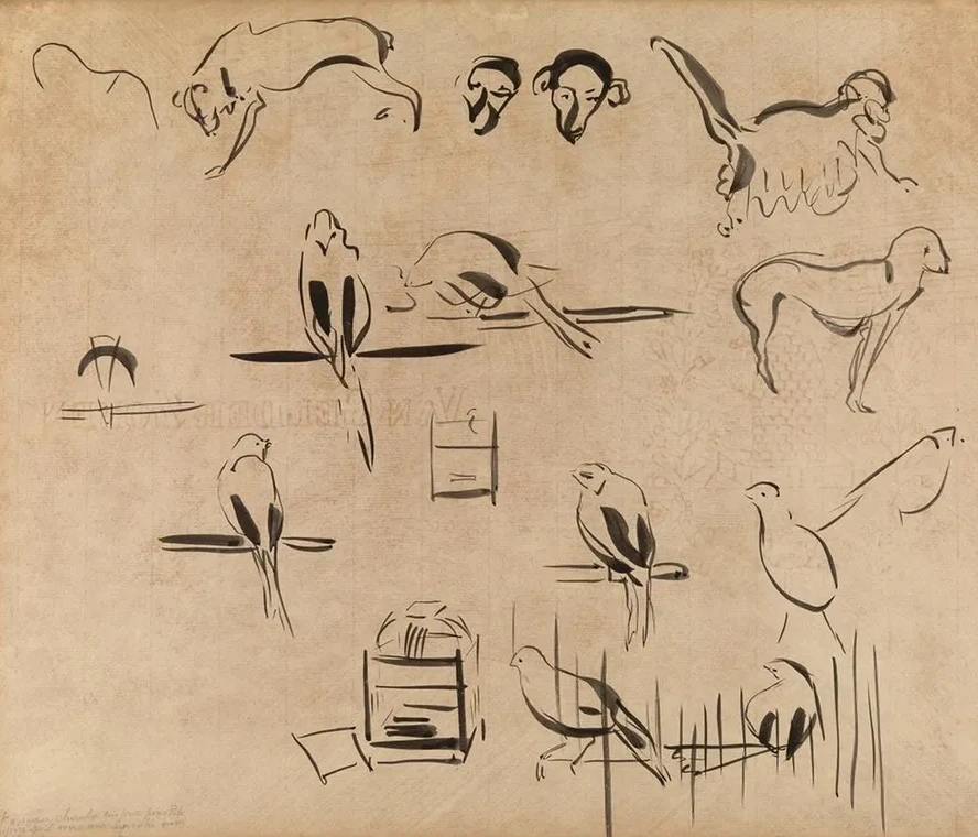 Study of Birds