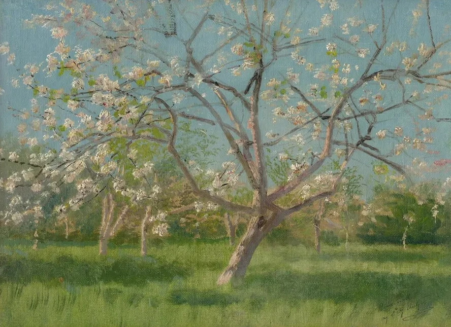 Study of Blooming Trees in an Orchard