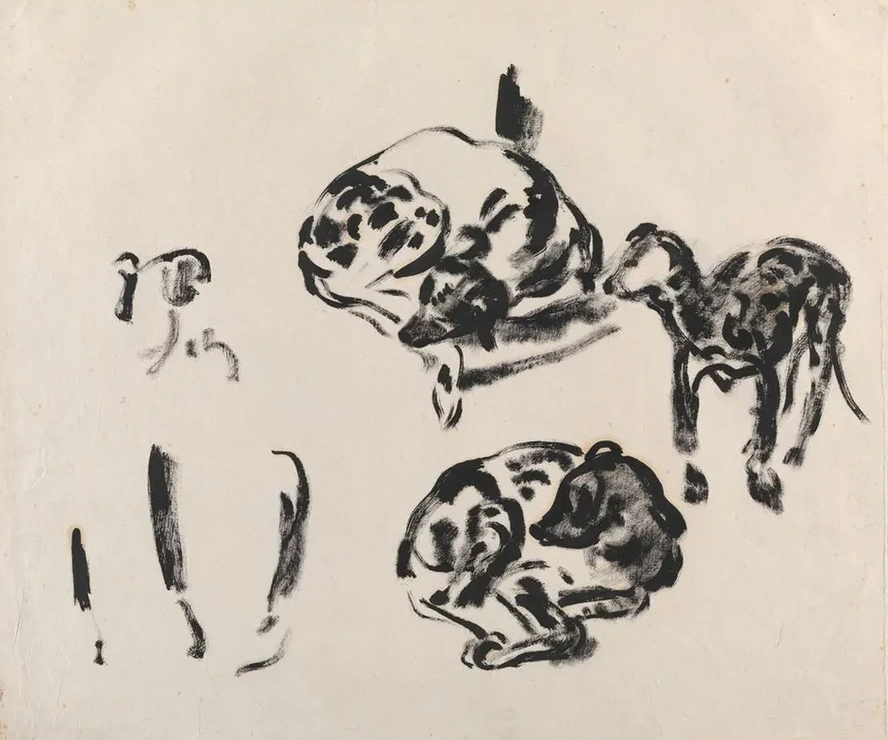 Study of Dogs