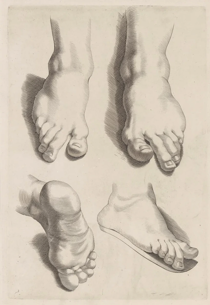Study of Feet