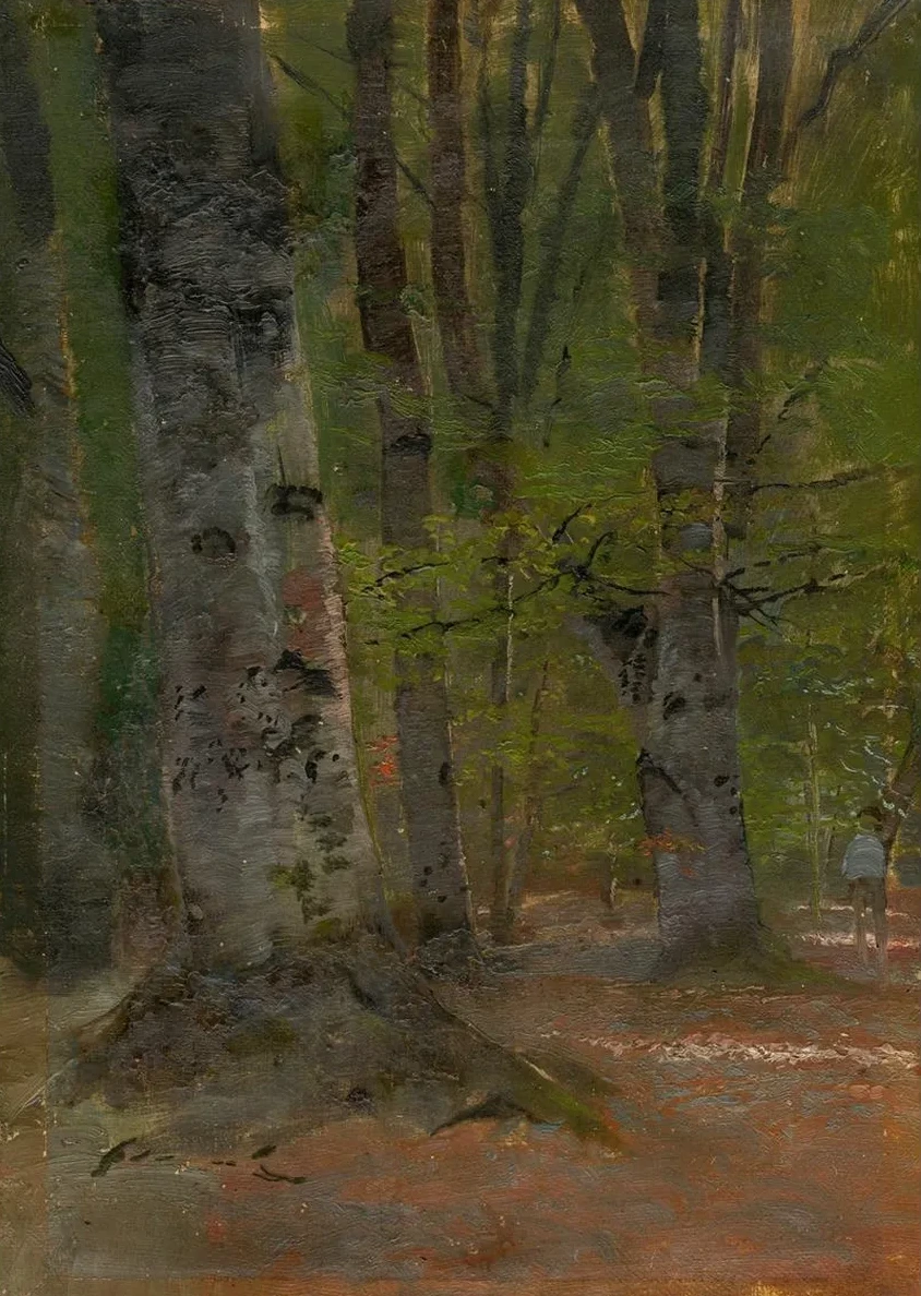 Study of Forest Interior