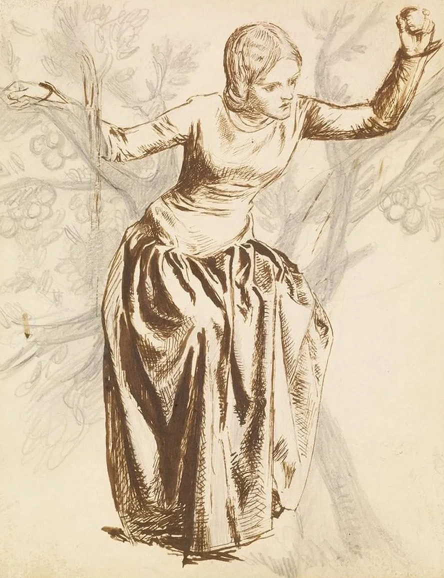 Study of Guenevere Seated in Apple Tree