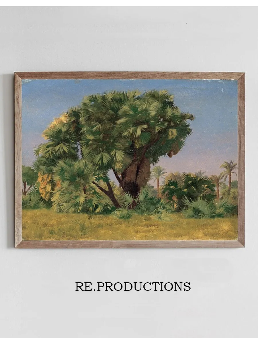 Study of Palm Trees