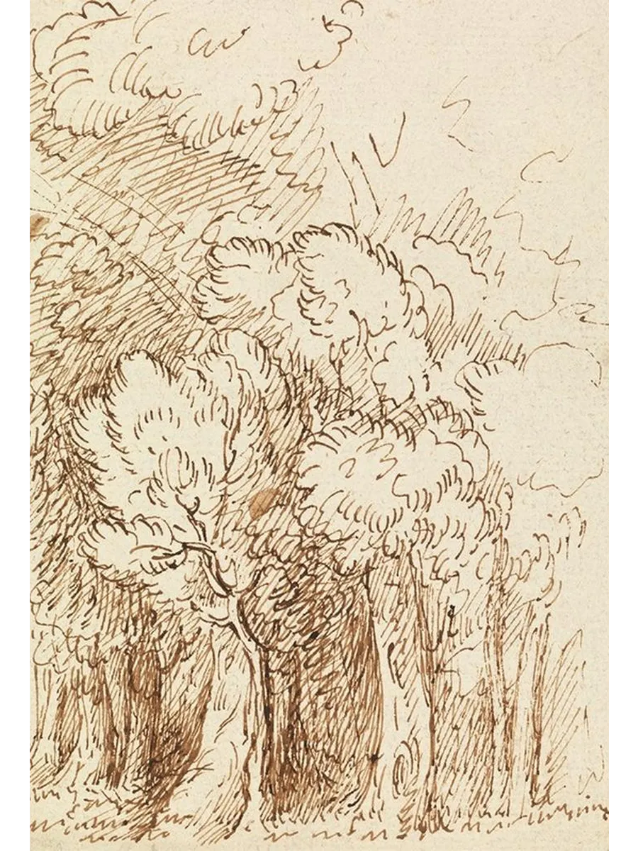 Study of Trees