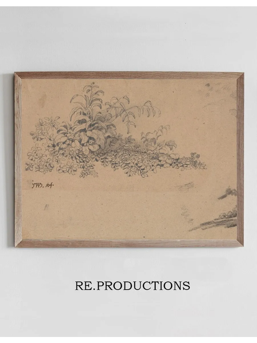 Study of Undergrowth