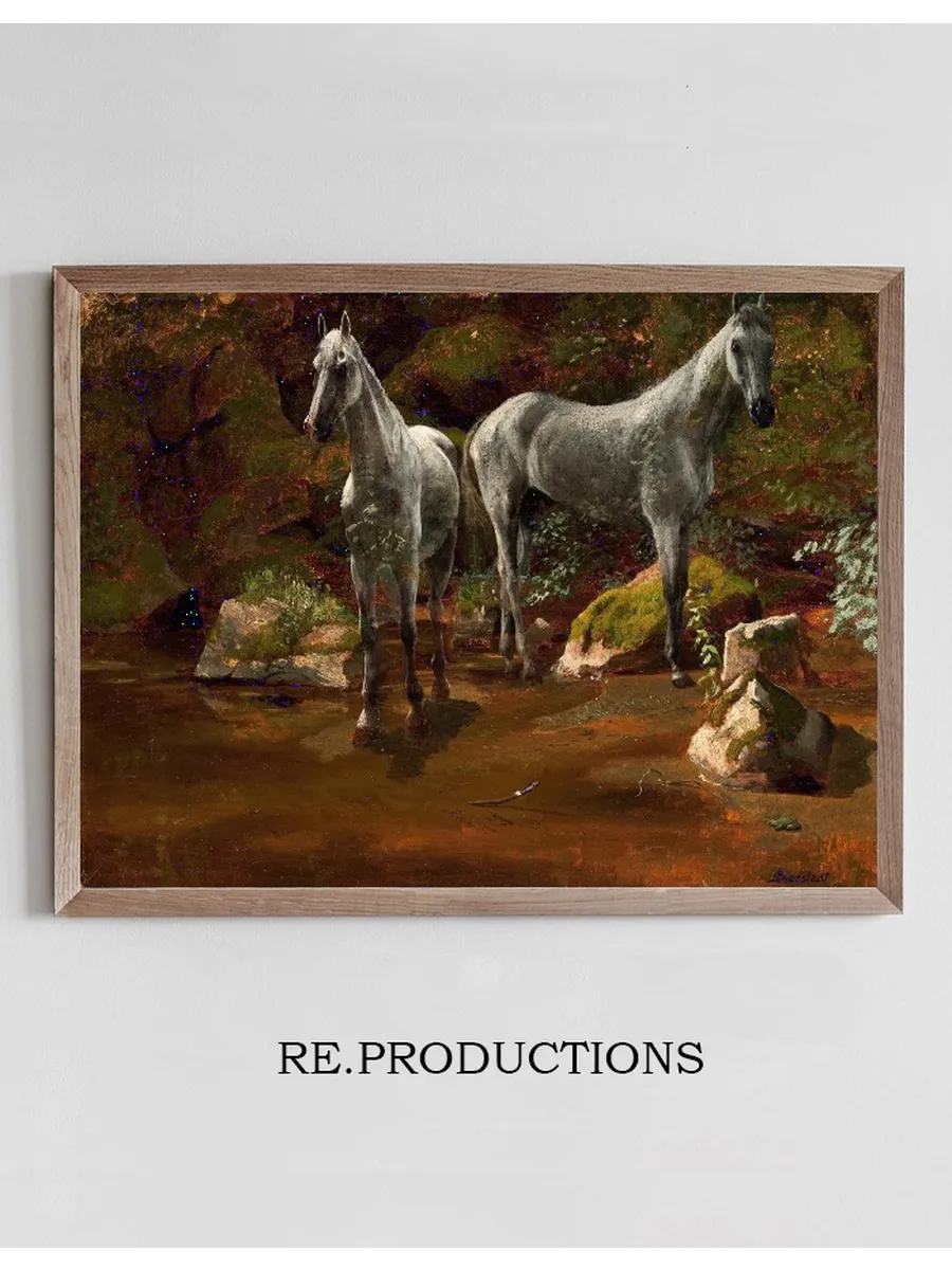 Study of Wild Horses