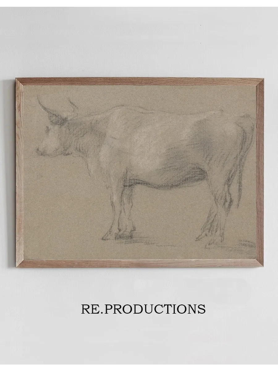 Study of a Cow