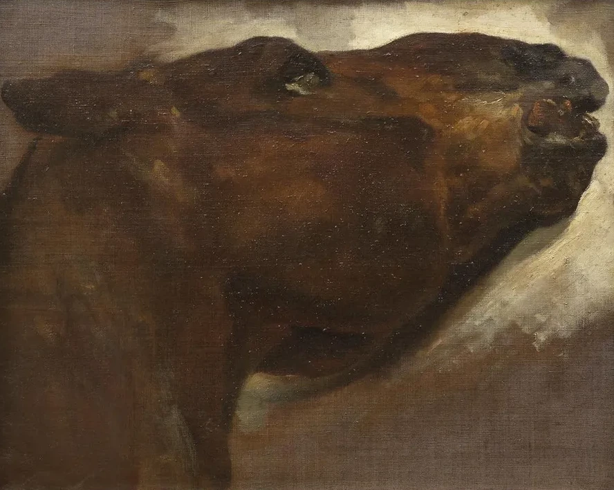 Study of a Dead Horse