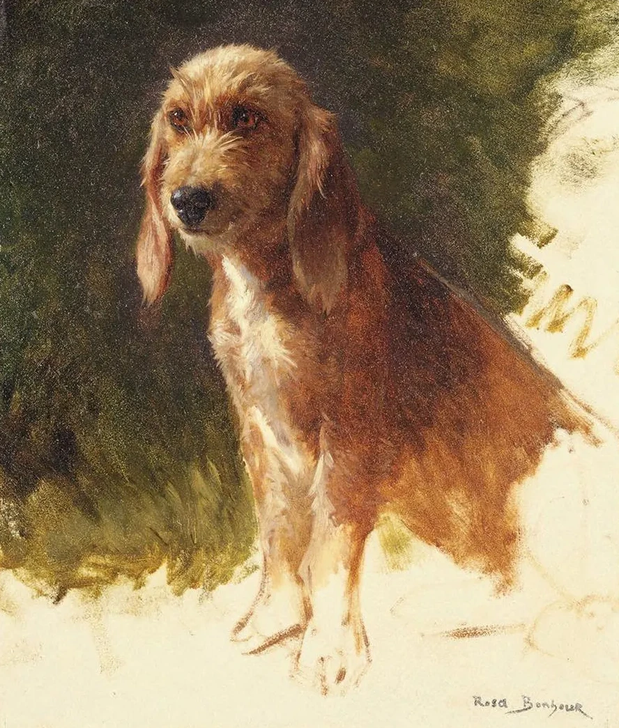 Study of a Dog