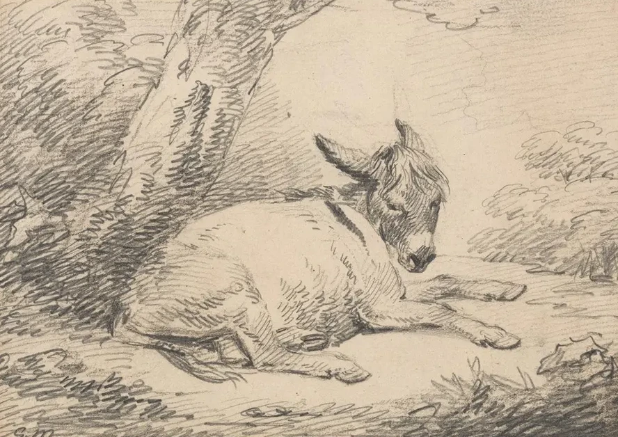 Study of a Donkey Under a Tree