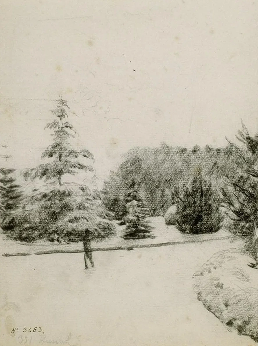 Study of a Garden
