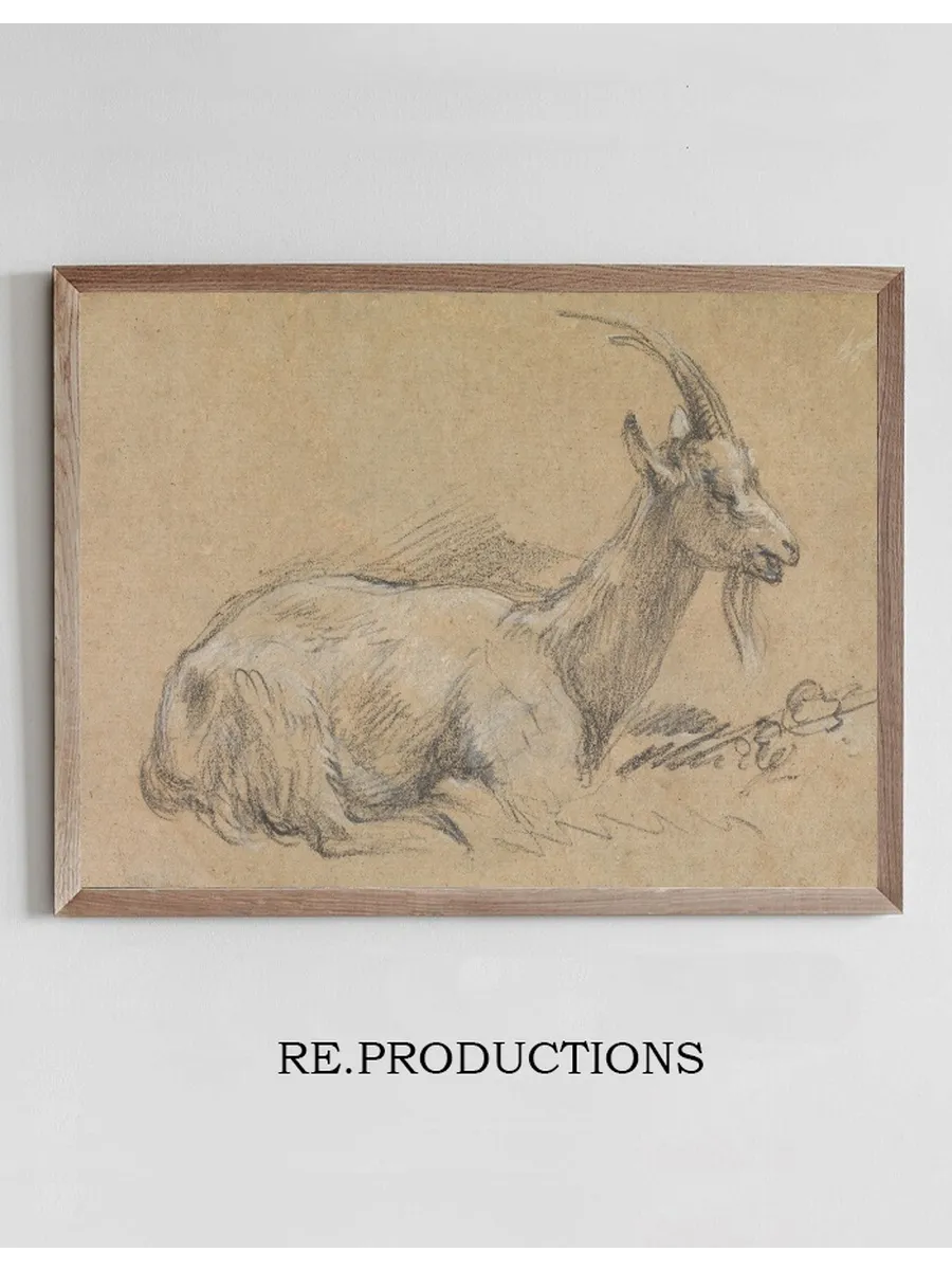 Study of a Goat