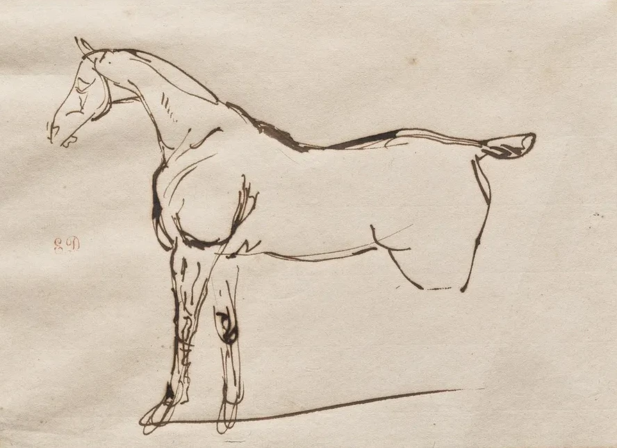 Study of a Horse