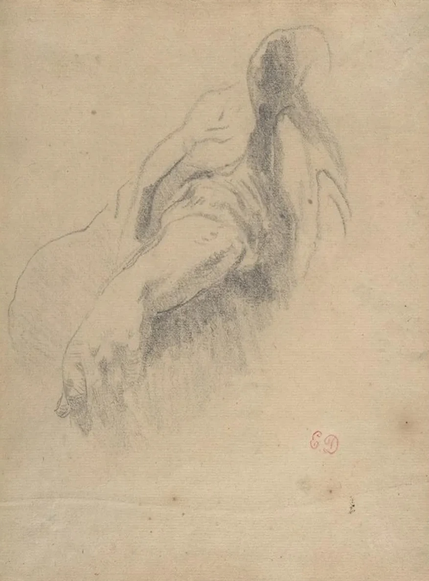 Study of a Left Arm and Hand