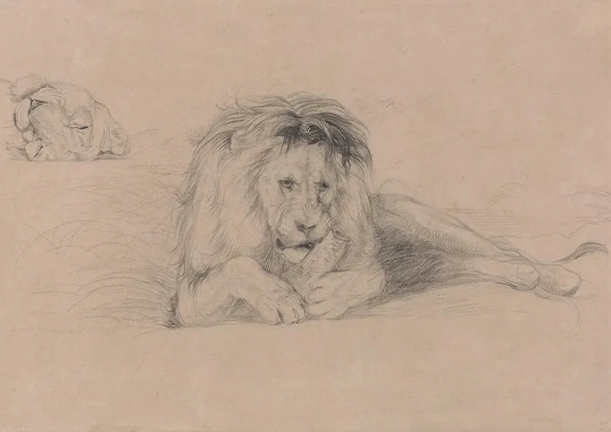 Study of a Lion and Study of a Lioness Head