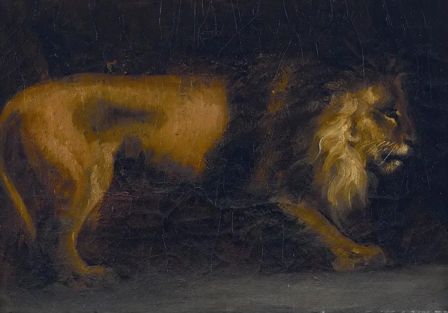 Study of a Lion