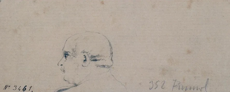 Study of a Male Head