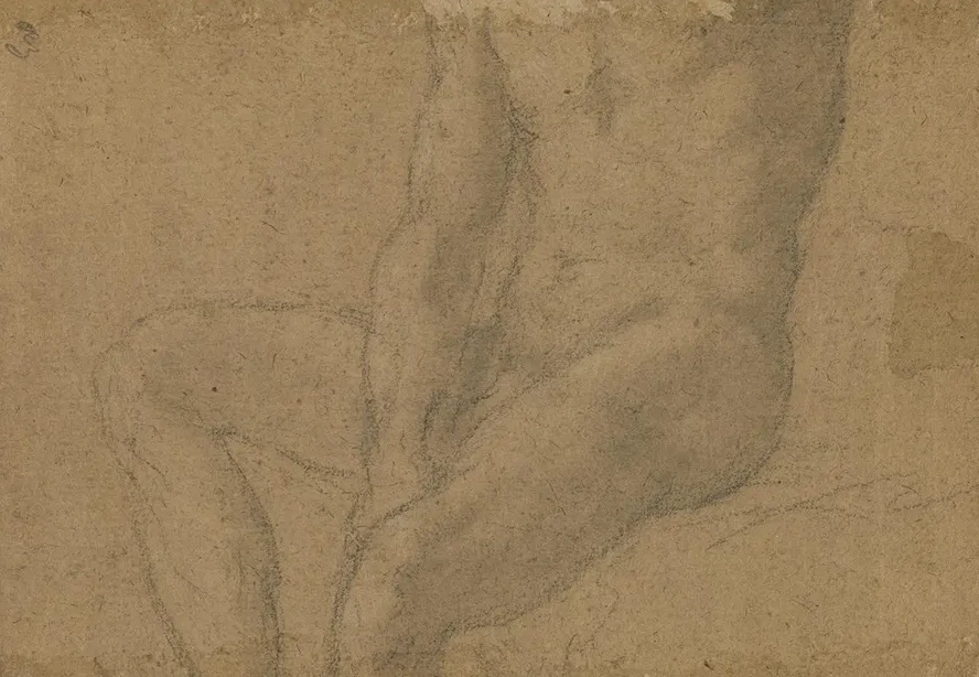 Study of a Male Nude