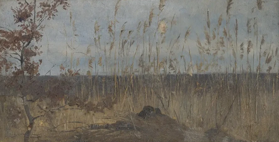 Study of a Marsh Landscape