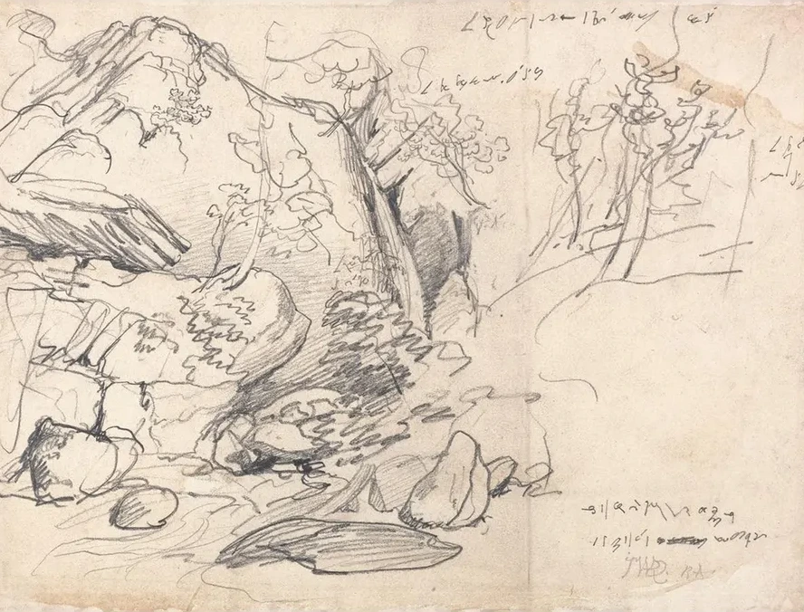 Study of a Mountain with Trees