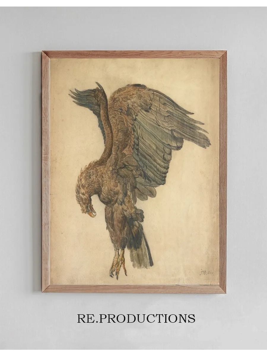 Study of a Plunging Eagle