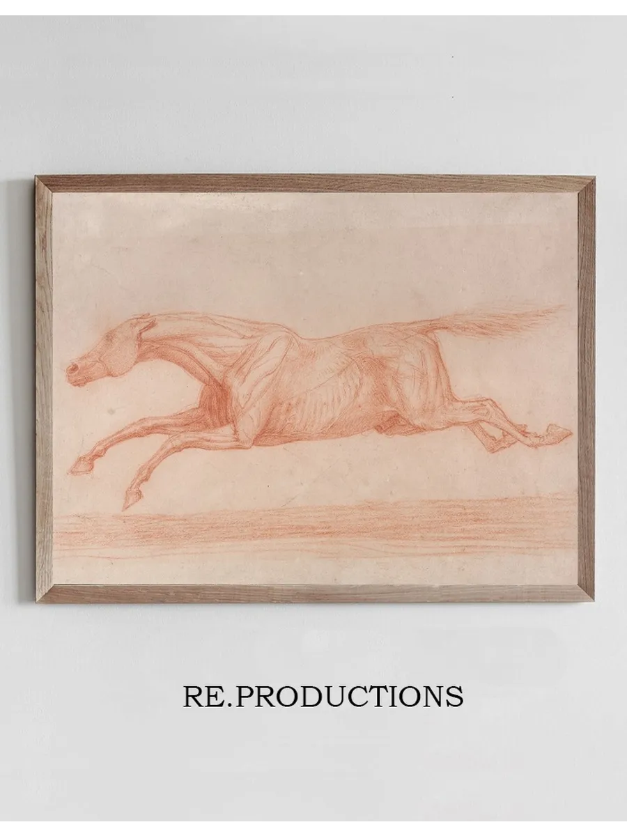 Study of a Racehorse in Action Galloping to Left, a Semi - Anatomical Study, with Skin Flayed to Show Action of