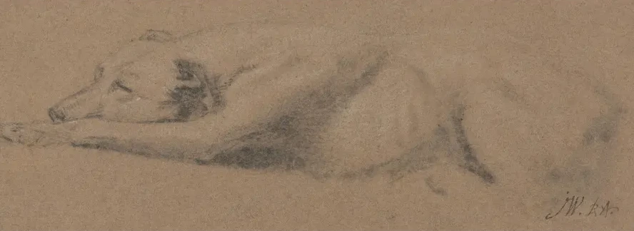 Study of a Sleeping Dog