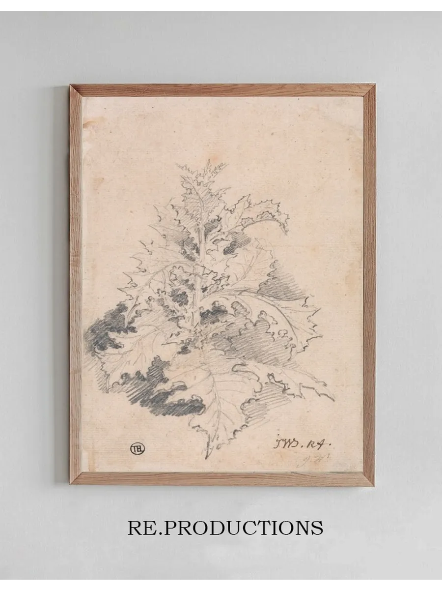 Study of a Thistle