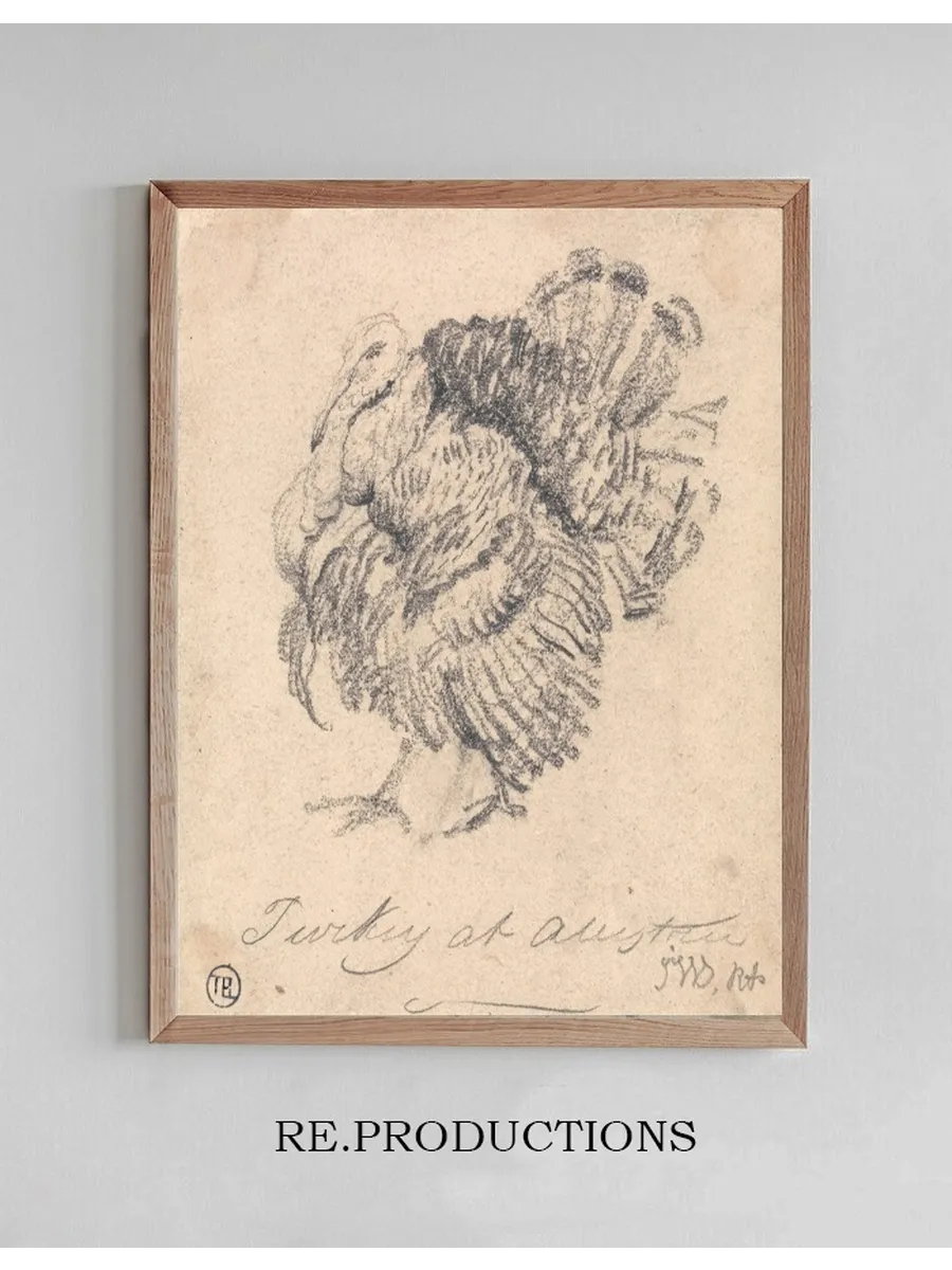 Study of a Turkey