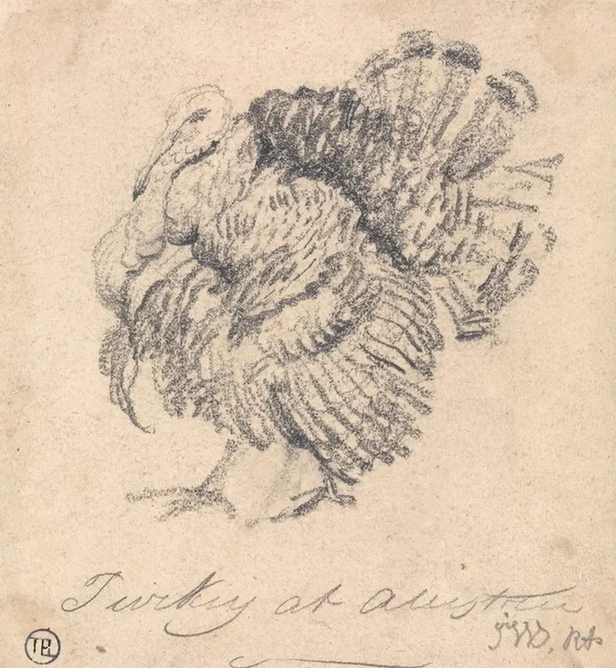 Study of a Turkey