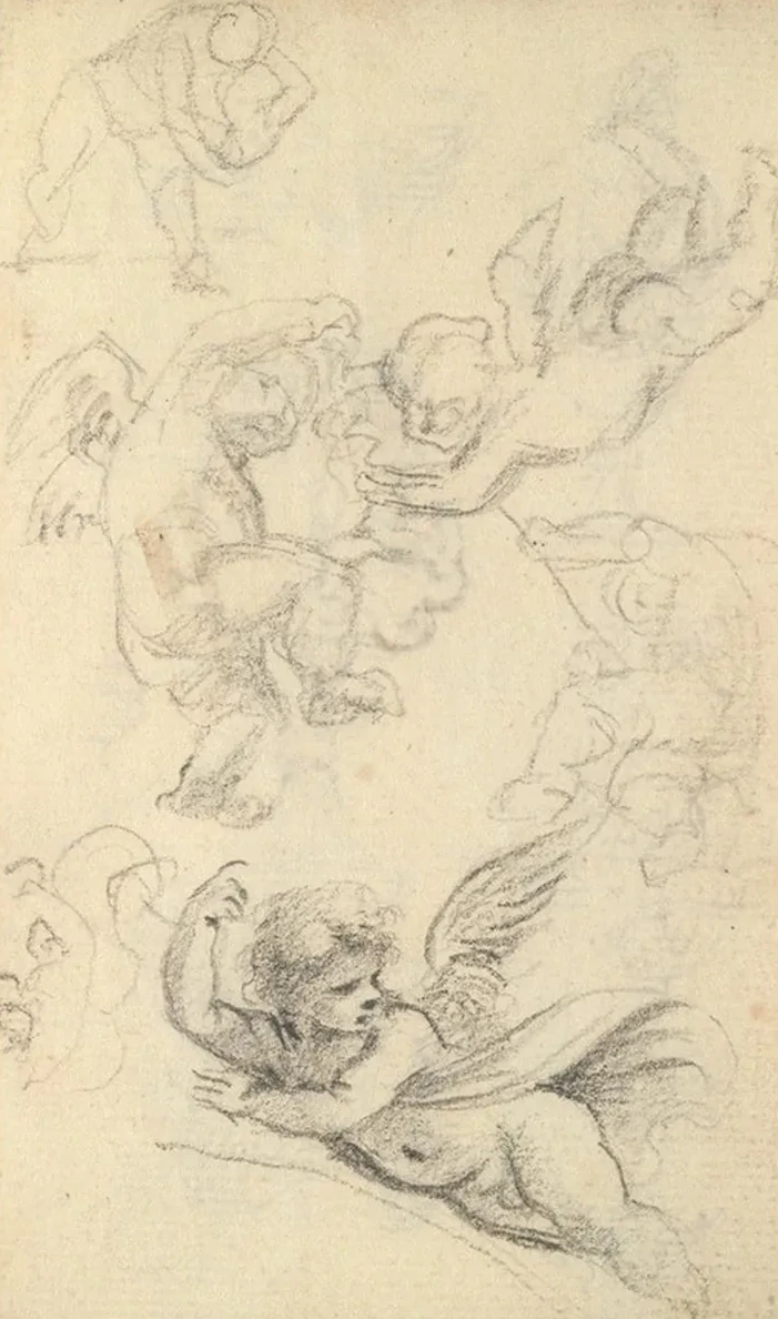 Study of a Vase