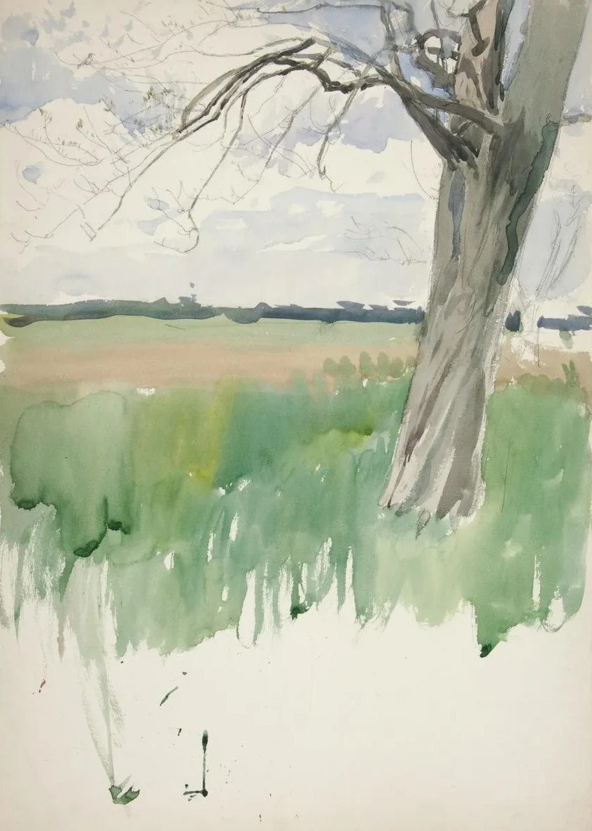 Study of a Field Andtree