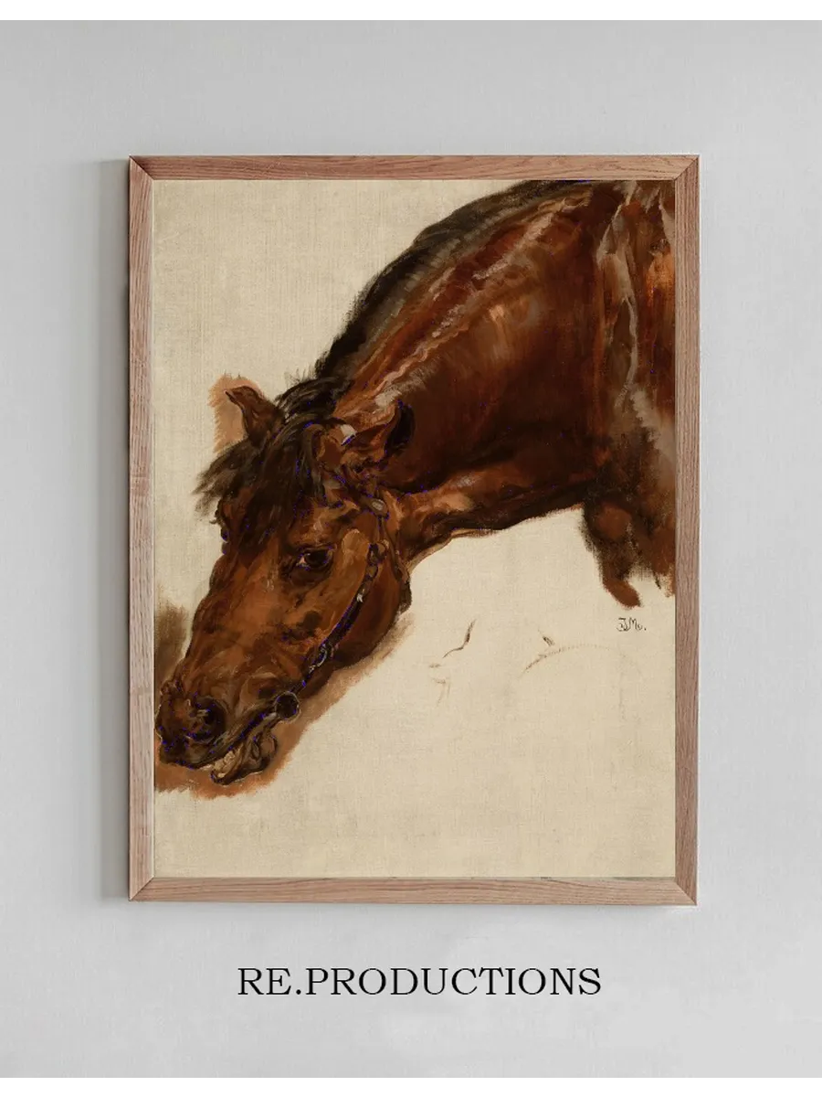 Study of a Horse Head