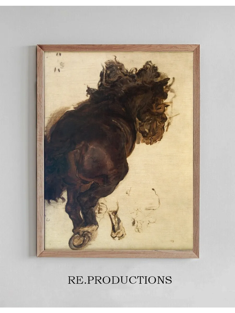 Study of a recIIning horse