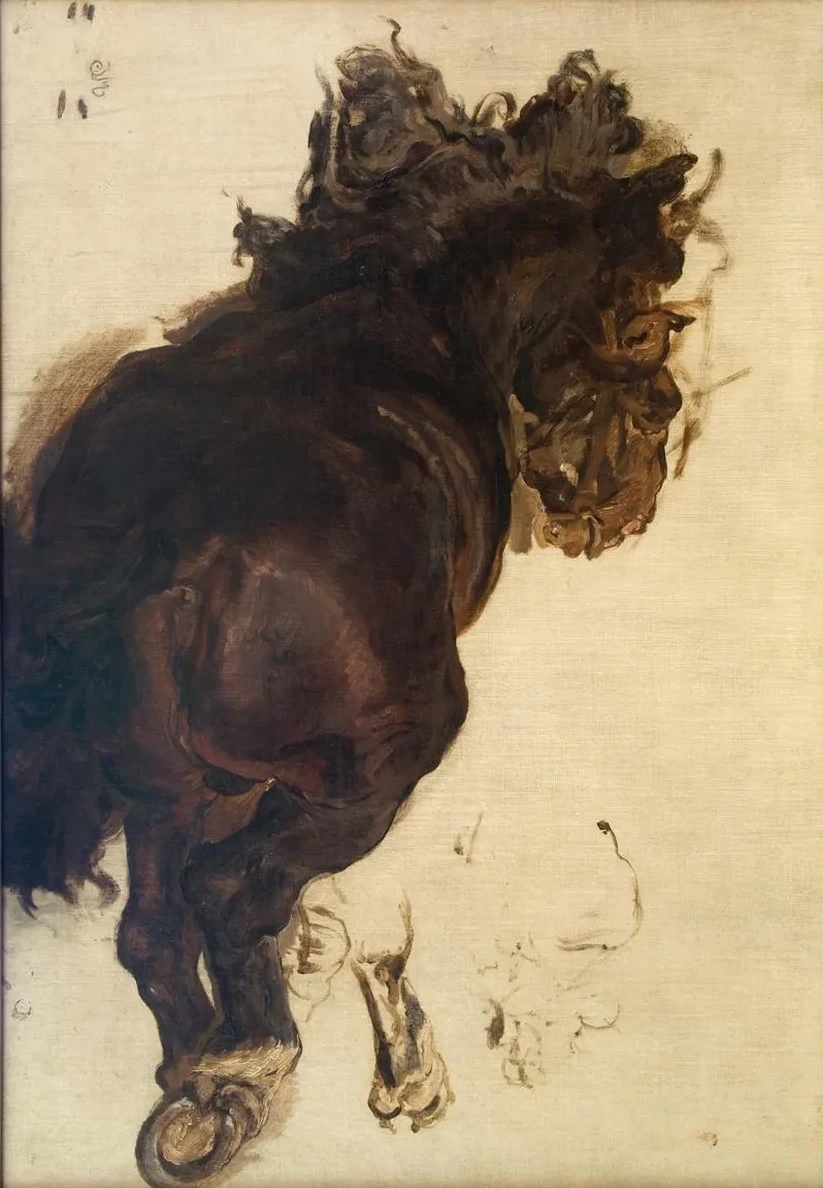 Study of a recIIning horse