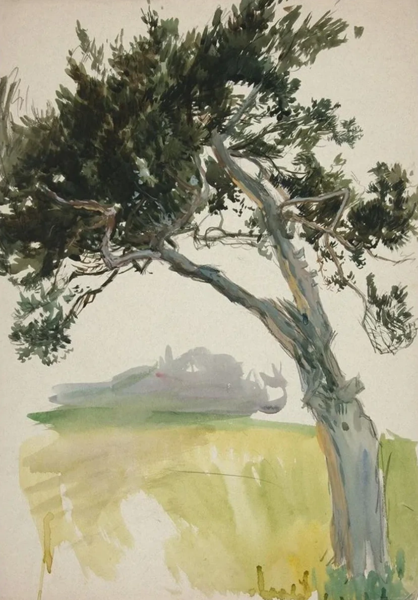 Study of a Tree Andfield