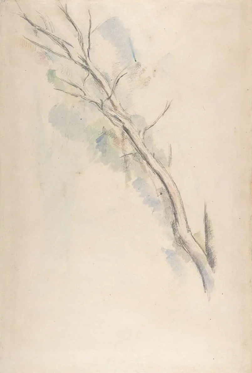 Study of a Tree