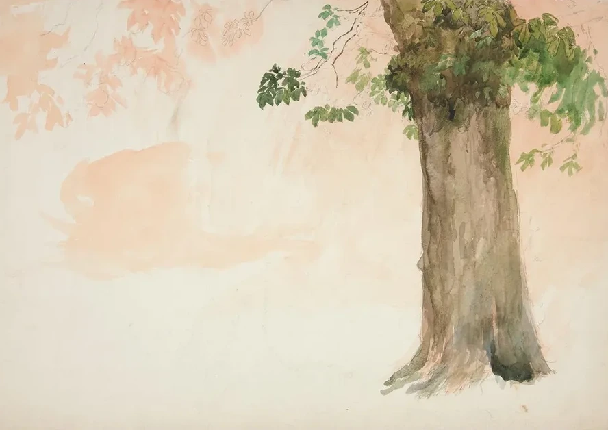 Study of a Treetrunk