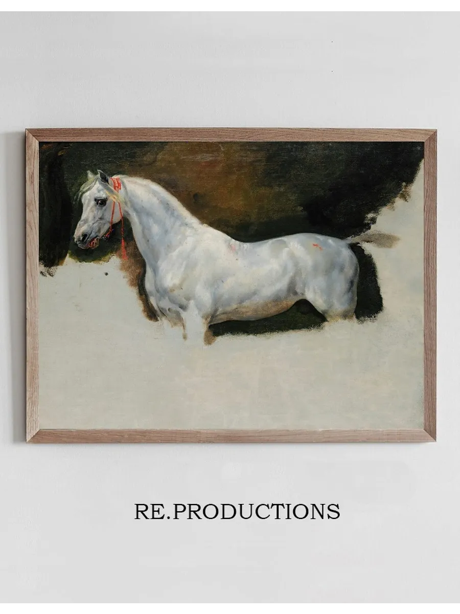 Study of a White Horse